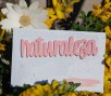 NATURALEZA ROSA SEDA6